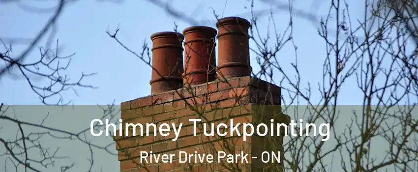 Chimney Tuckpointing River Drive Park - ON