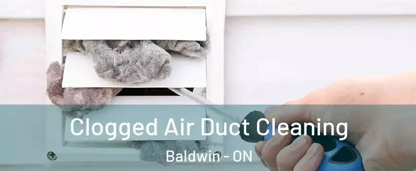  Clogged Air Duct Cleaning Baldwin - ON