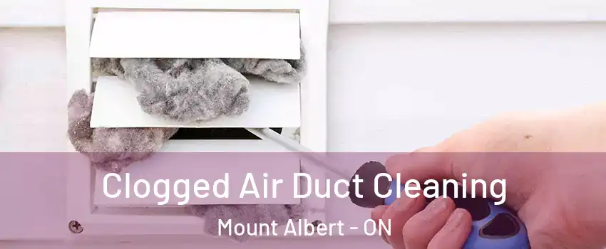  Clogged Air Duct Cleaning Mount Albert - ON