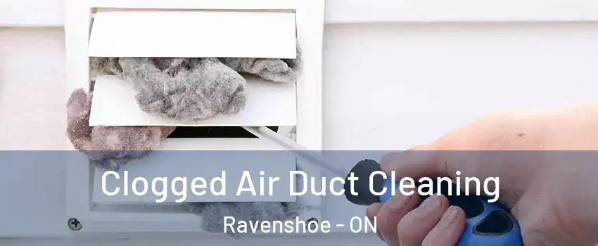  Clogged Air Duct Cleaning Ravenshoe - ON