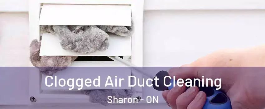  Clogged Air Duct Cleaning Sharon - ON