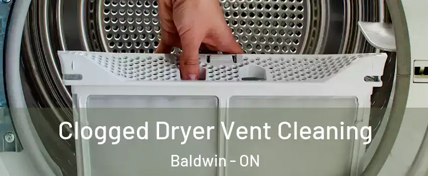  Clogged Dryer Vent Cleaning Baldwin - ON