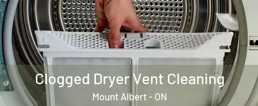  Clogged Dryer Vent Cleaning Mount Albert - ON