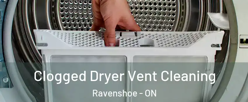  Clogged Dryer Vent Cleaning Ravenshoe - ON