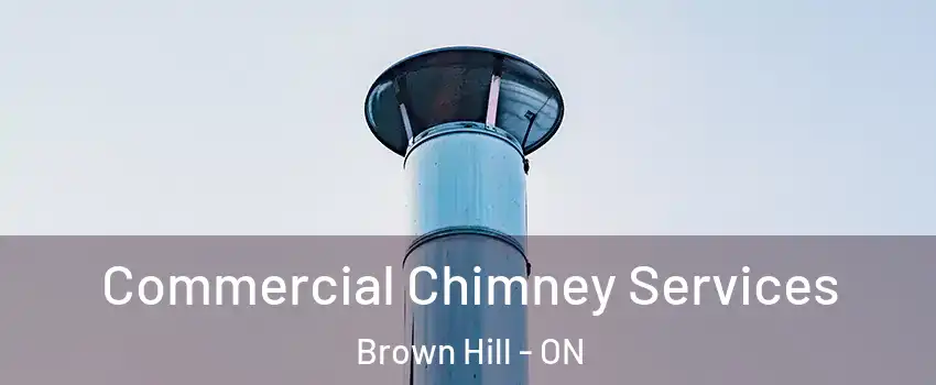  Commercial Chimney Services Brown Hill - ON