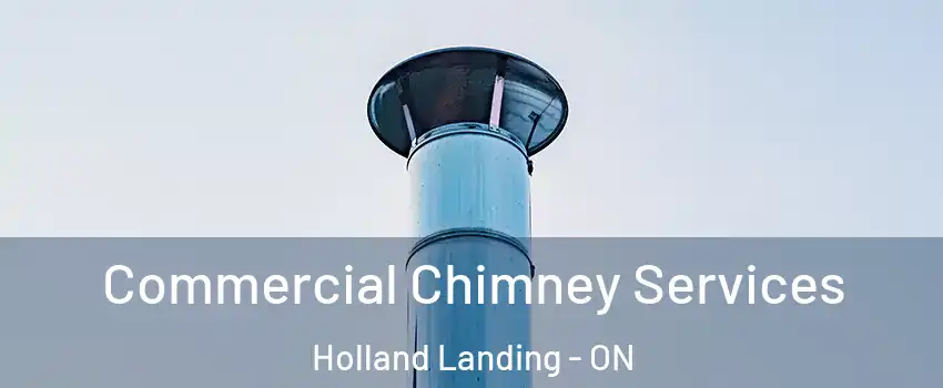  Commercial Chimney Services Holland Landing - ON