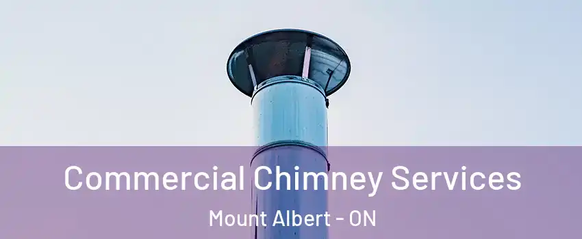  Commercial Chimney Services Mount Albert - ON