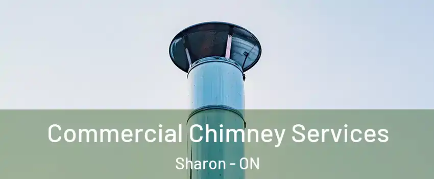  Commercial Chimney Services Sharon - ON