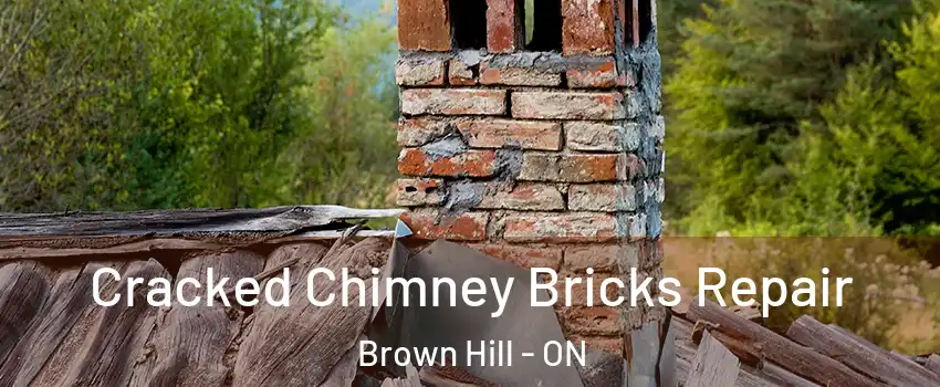  Cracked Chimney Bricks Repair Brown Hill - ON