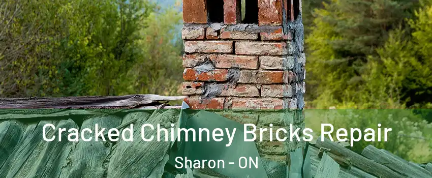  Cracked Chimney Bricks Repair Sharon - ON