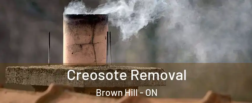  Creosote Removal Brown Hill - ON
