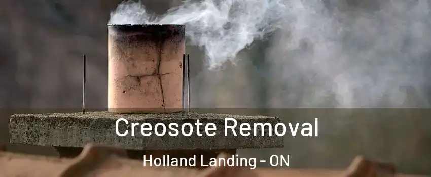 Creosote Removal Holland Landing - ON