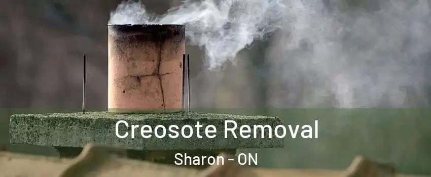  Creosote Removal Sharon - ON