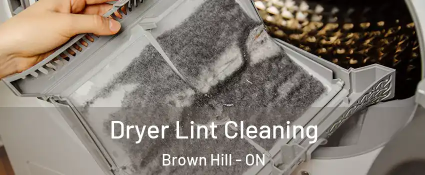  Dryer Lint Cleaning Brown Hill - ON
