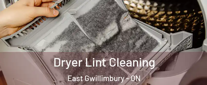  Dryer Lint Cleaning East Gwillimbury - ON
