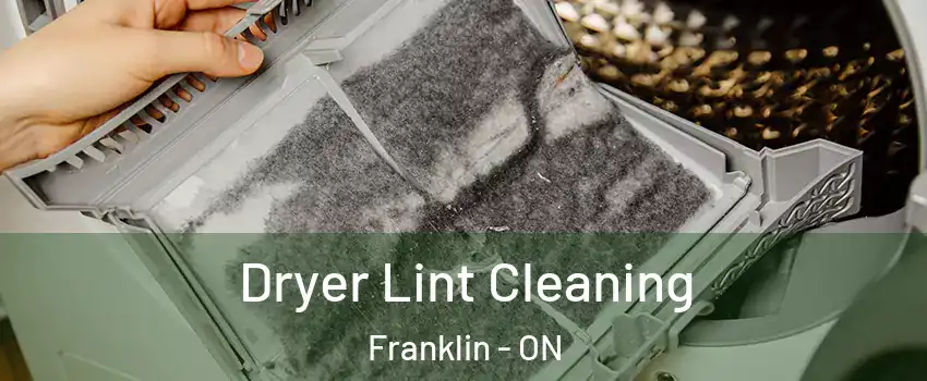  Dryer Lint Cleaning Franklin - ON