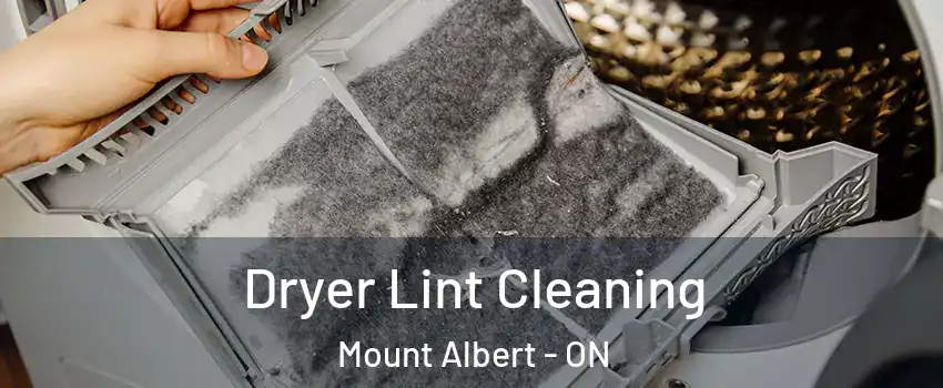  Dryer Lint Cleaning Mount Albert - ON