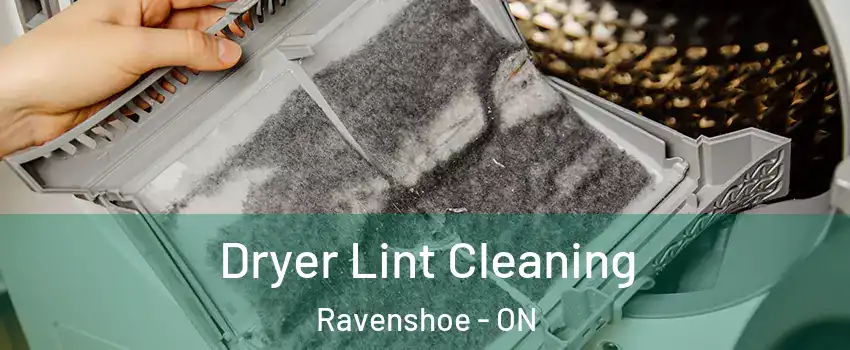  Dryer Lint Cleaning Ravenshoe - ON