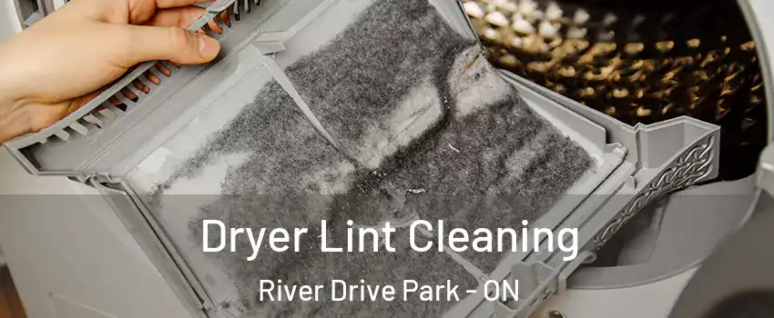  Dryer Lint Cleaning River Drive Park - ON
