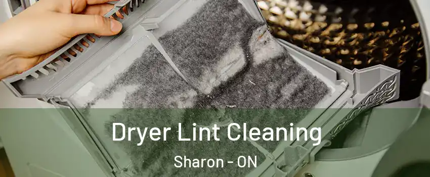  Dryer Lint Cleaning Sharon - ON