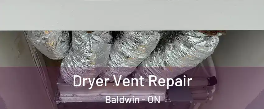  Dryer Vent Repair Baldwin - ON