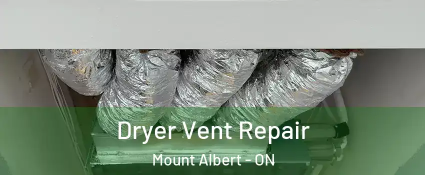  Dryer Vent Repair Mount Albert - ON