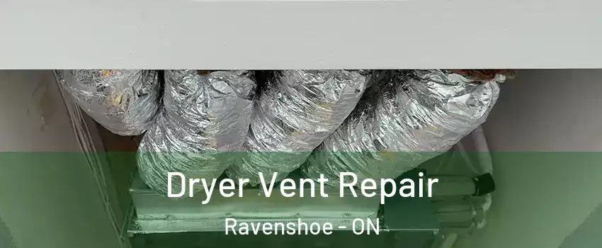  Dryer Vent Repair Ravenshoe - ON