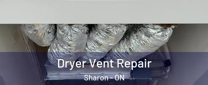  Dryer Vent Repair Sharon - ON
