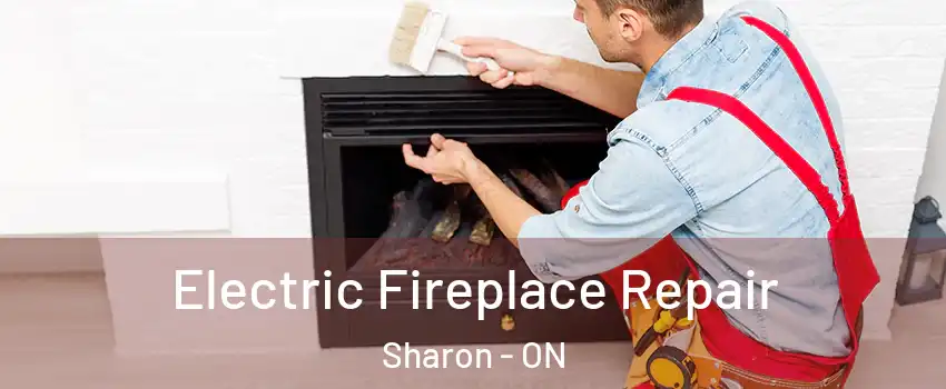  Electric Fireplace Repair Sharon - ON