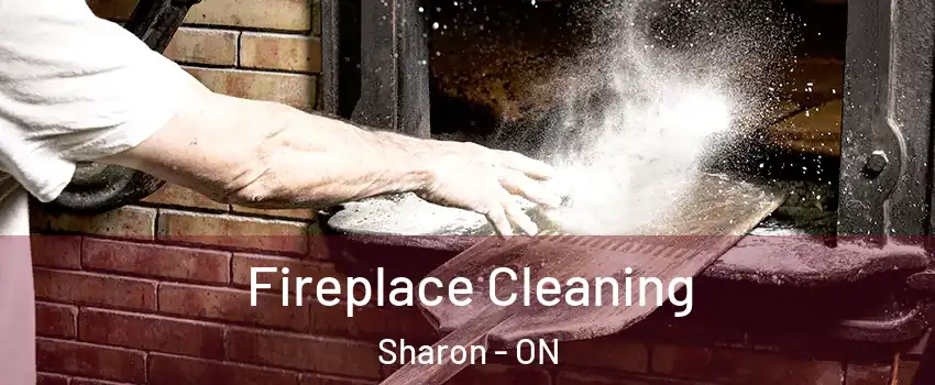  Fireplace Cleaning Sharon - ON