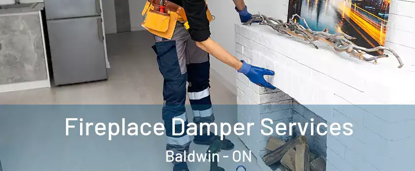  Fireplace Damper Services Baldwin - ON