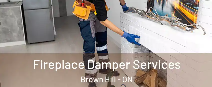  Fireplace Damper Services Brown Hill - ON