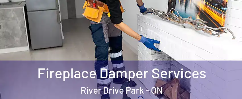 Fireplace Damper Services River Drive Park - ON
