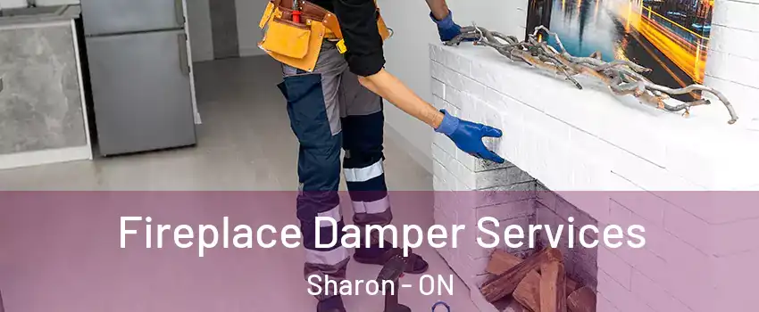  Fireplace Damper Services Sharon - ON