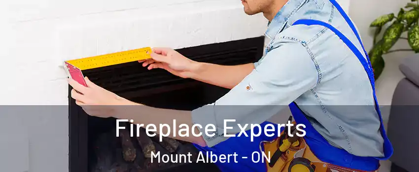  Fireplace Experts Mount Albert - ON