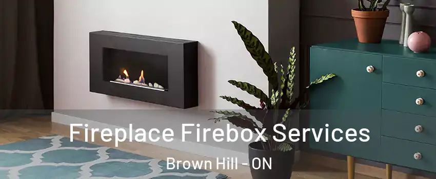  Fireplace Firebox Services Brown Hill - ON