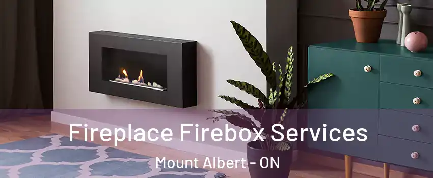  Fireplace Firebox Services Mount Albert - ON
