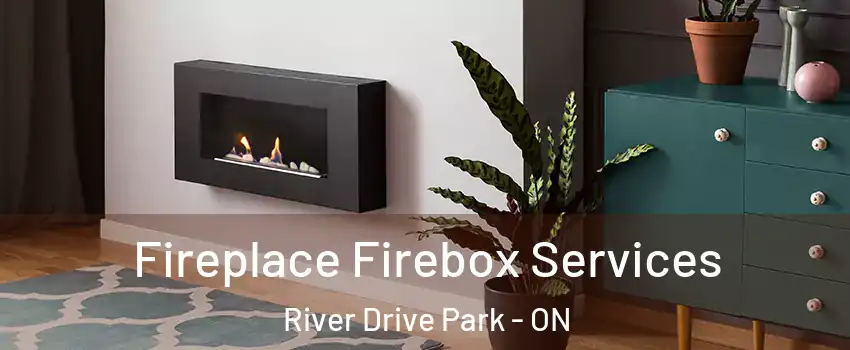  Fireplace Firebox Services River Drive Park - ON