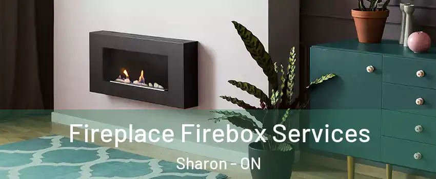  Fireplace Firebox Services Sharon - ON
