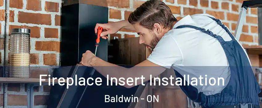  Fireplace Insert Installation Baldwin - ON