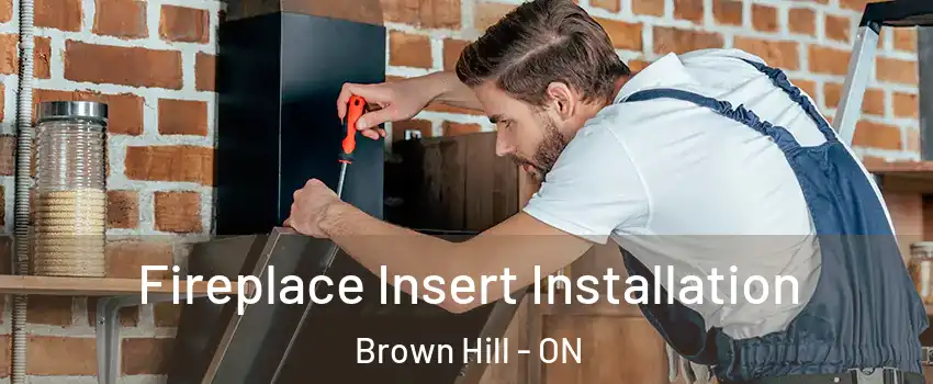  Fireplace Insert Installation Brown Hill - ON