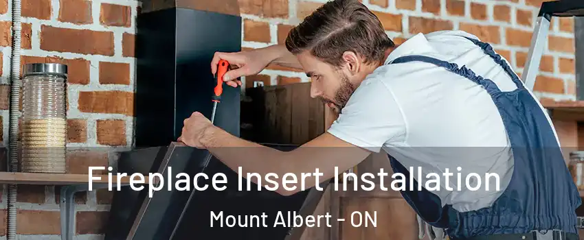  Fireplace Insert Installation Mount Albert - ON