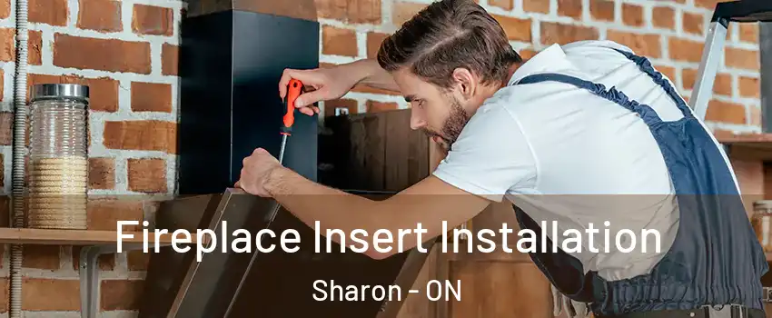  Fireplace Insert Installation Sharon - ON
