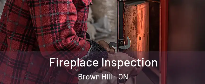  Fireplace Inspection Brown Hill - ON