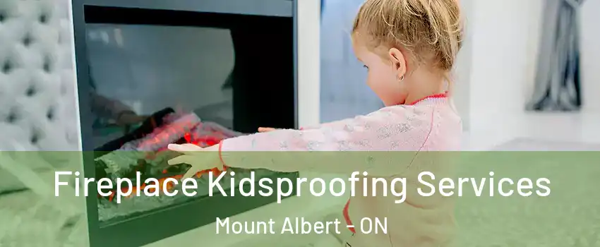  Fireplace Kidsproofing Services Mount Albert - ON
