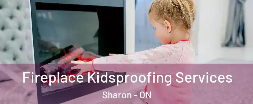  Fireplace Kidsproofing Services Sharon - ON