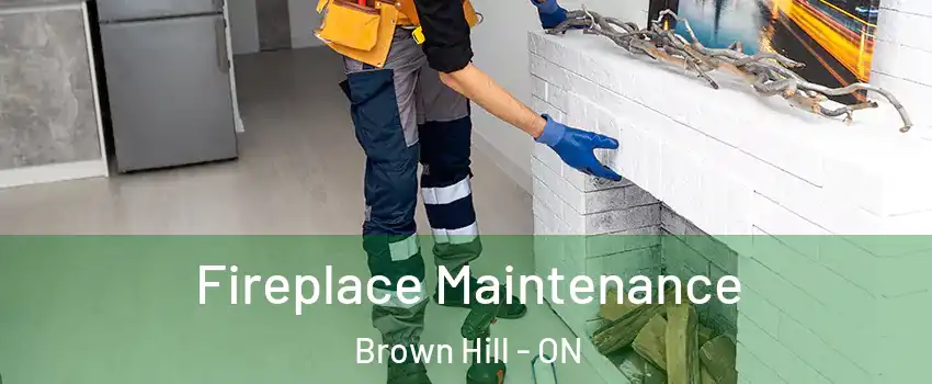  Fireplace Maintenance Brown Hill - ON