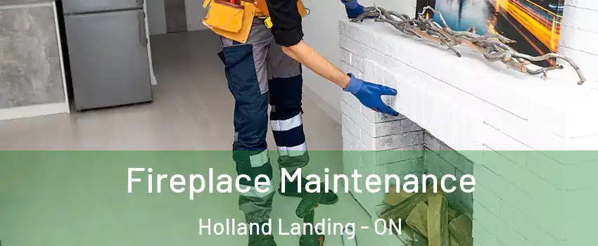  Fireplace Maintenance Holland Landing - ON
