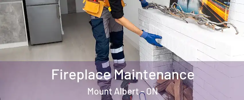 Fireplace Maintenance Mount Albert - ON
