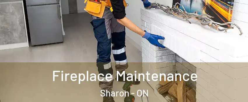  Fireplace Maintenance Sharon - ON